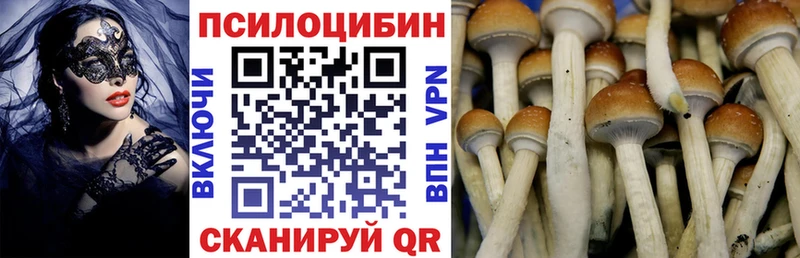 Купить где  Нововоронеж  Галлюциногенные грибы прущие грибы 